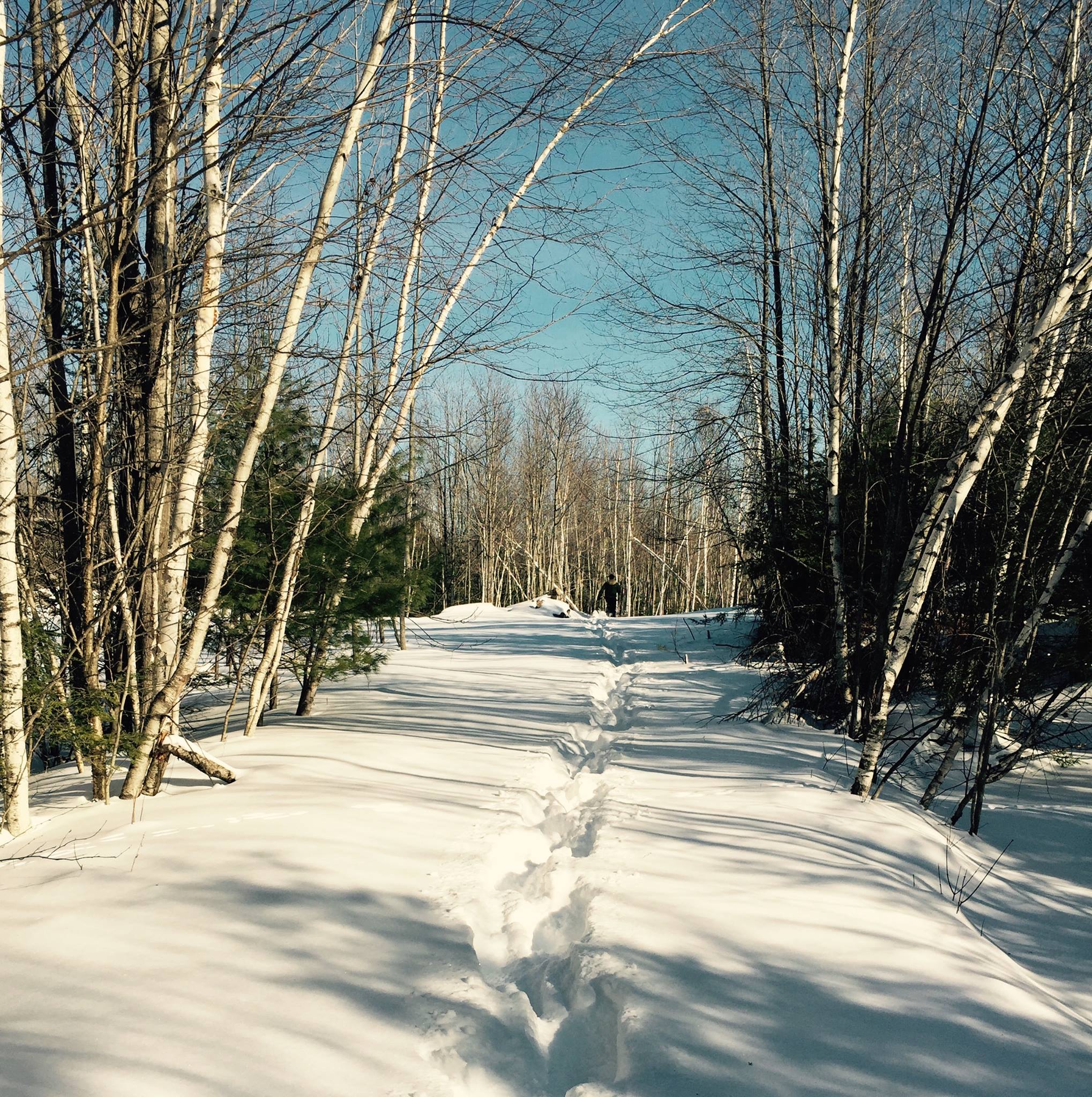 Vermont snow.jpg