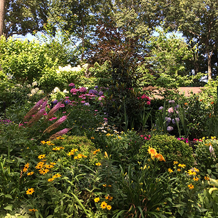 Garden, Stony Brook
