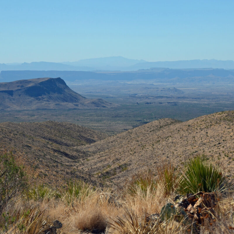 Oxherding in the Chisos Mountains – Harvard Review