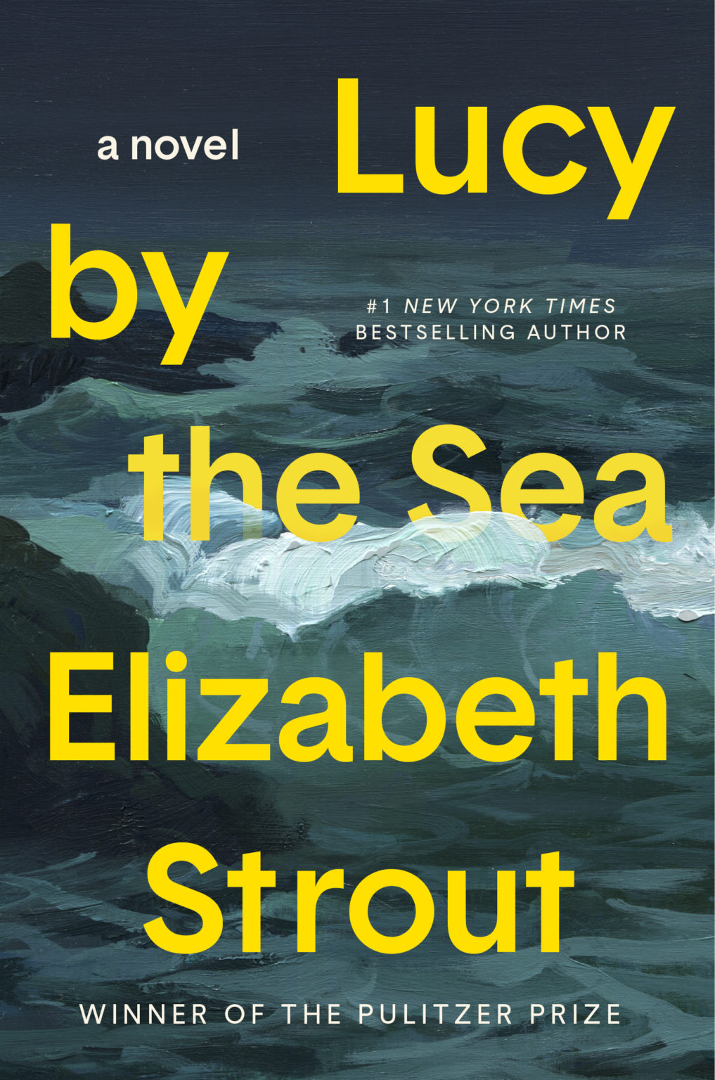 book reviews for lucy by the sea