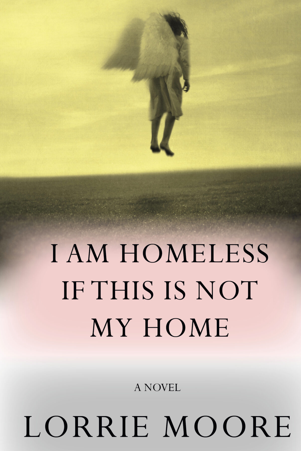 i am homeless if this is not my home book summary